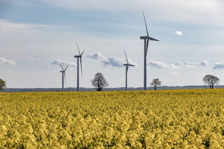 Pourquoi investir dans les énergies renouvelables est-il un choix d&rsquo;avenir ?