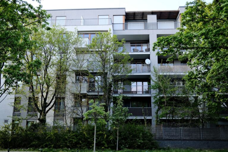 Pourquoi investir dans l&rsquo;immobilier rural : quelles opportunités à saisir ?