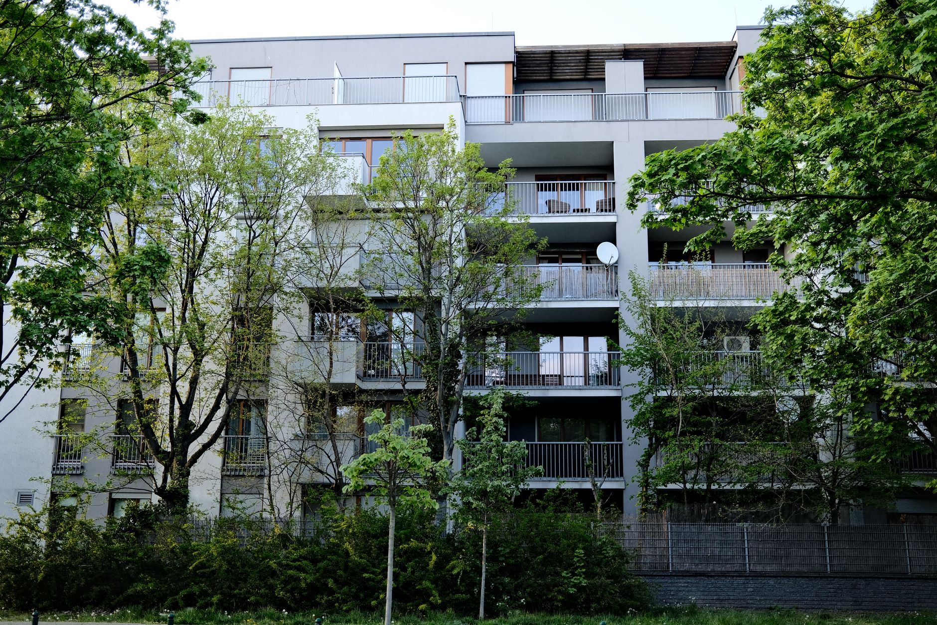 Pourquoi investir dans l&rsquo;immobilier rural : quelles opportunités à saisir ?